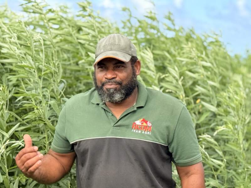 Jean-José Martial, chargé des plantations