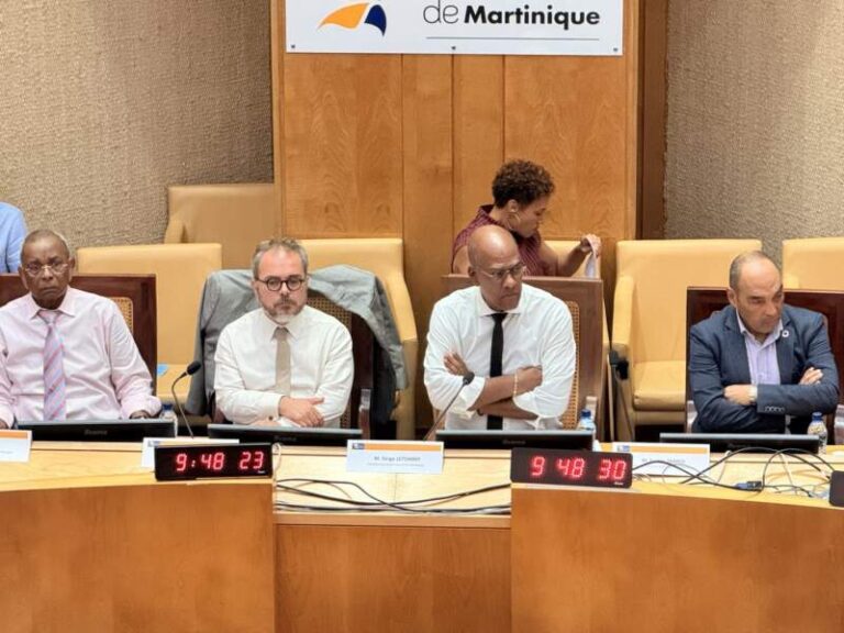 L assemblee lors de la conference sur l octroi de mer