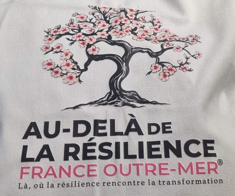 Logo du think tank Au-delà de la Résilience France Outre-Mer