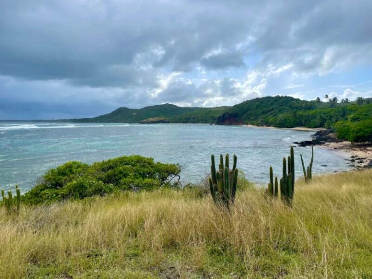 Vue de la côte de Sainte-Anne, en Martinique, avec cactus et végétation littorale